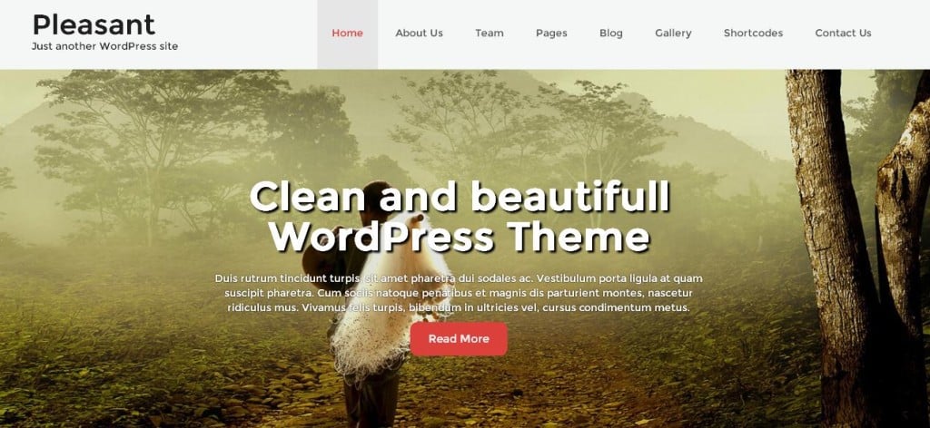 Pleasant Free WordPress Themes