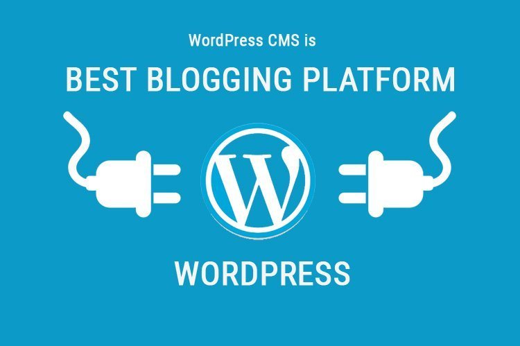 Best Blogging Platform