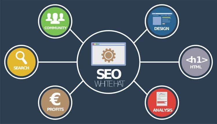 Seo Company Fundamentals Explained