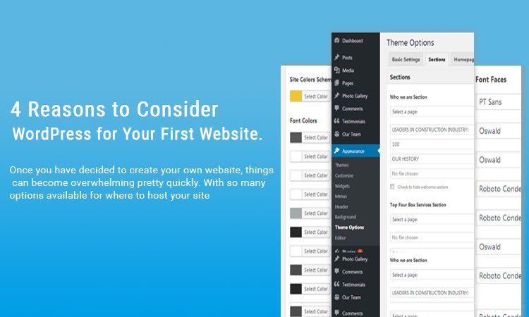 WordPress for Your First Website
