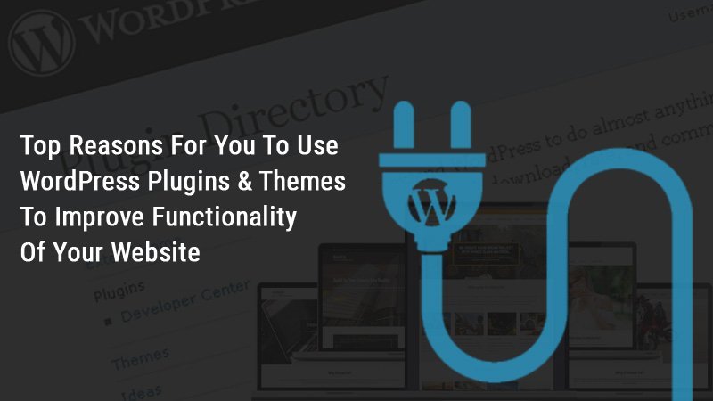 Use WordPress Plugins