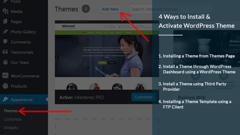 Install & Activate WordPress Theme