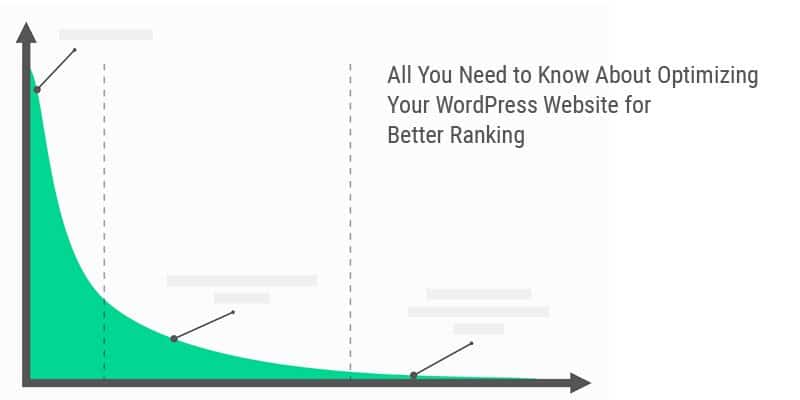 Optimizing Your WordPress Website