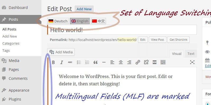 WordPress multilingual websites