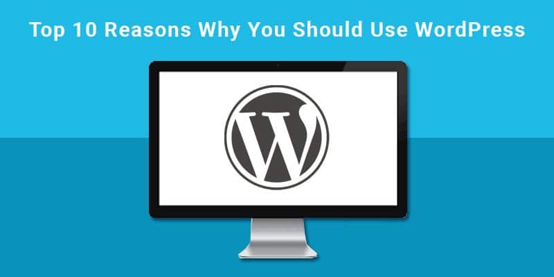 Use WordPress