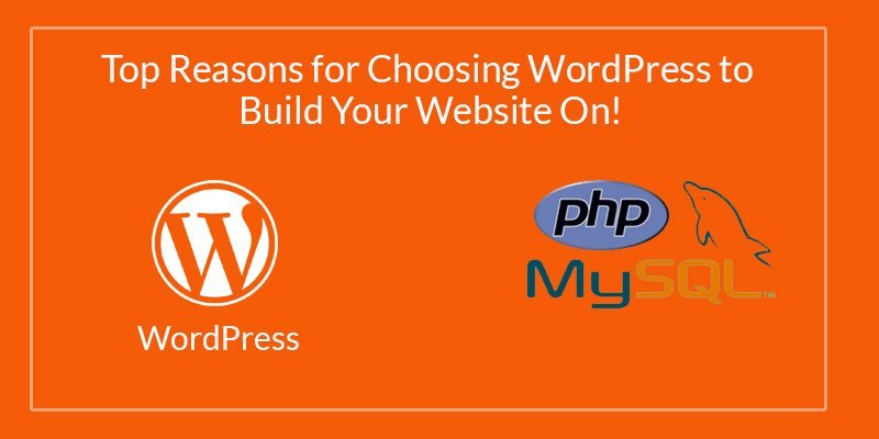 WordPress to Build Your Website