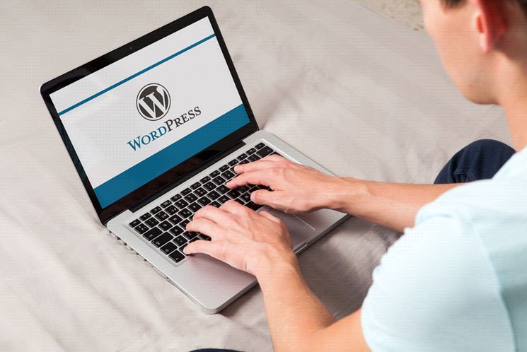 Future of WordPress