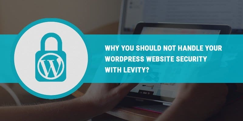 WordPress Website Security