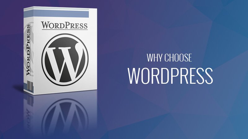 Why Choose WordPress
