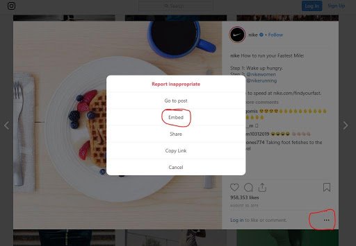 Show Instagram Photos in a WordPress Post