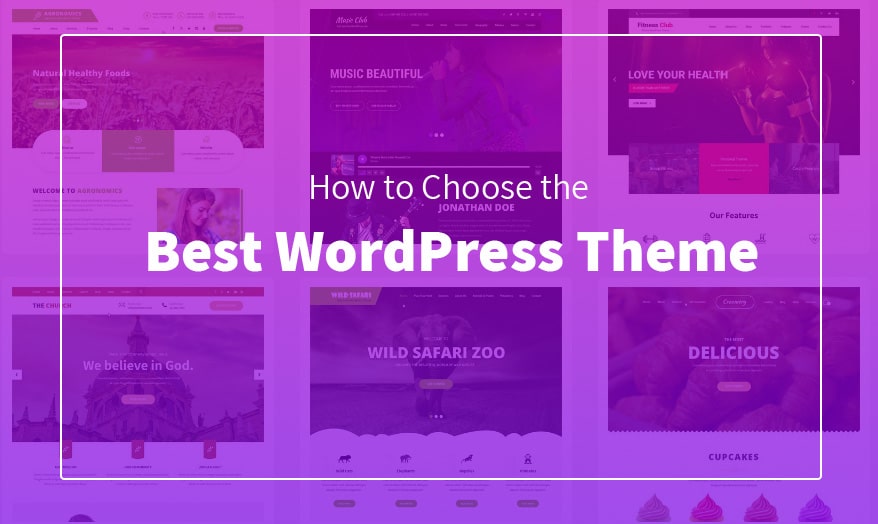 Choose the Best WordPress Theme