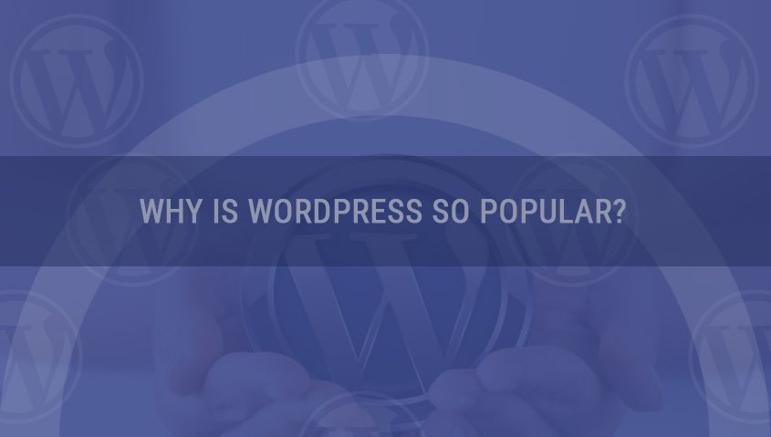 Why Is WordPress So Popular