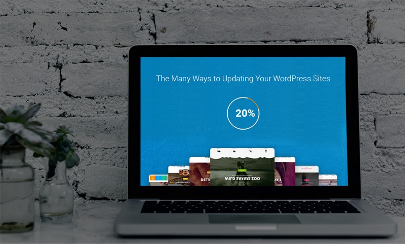 Ways to Updating Your WordPress Sites