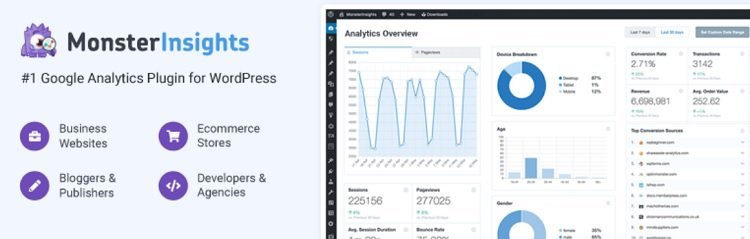 MonsterInsights