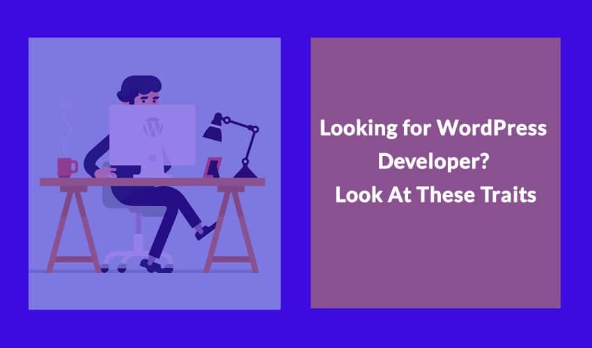 Looking for WordPress Developer