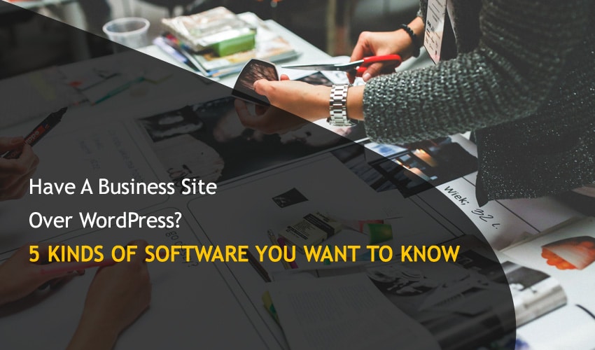 Business Site Over WordPress