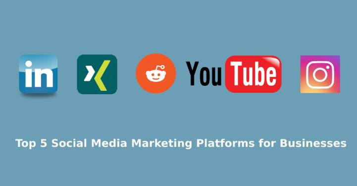 Top 5 Social Media Marketing Platforms For Businesses Grace Themes