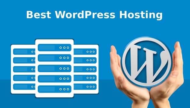 Best WordPress Hosting for Your Next Project - Grace Themes