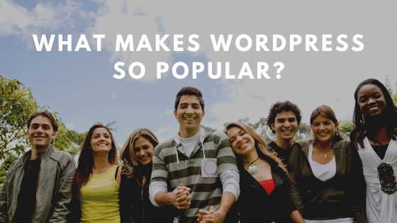 What makes WordPress so popular