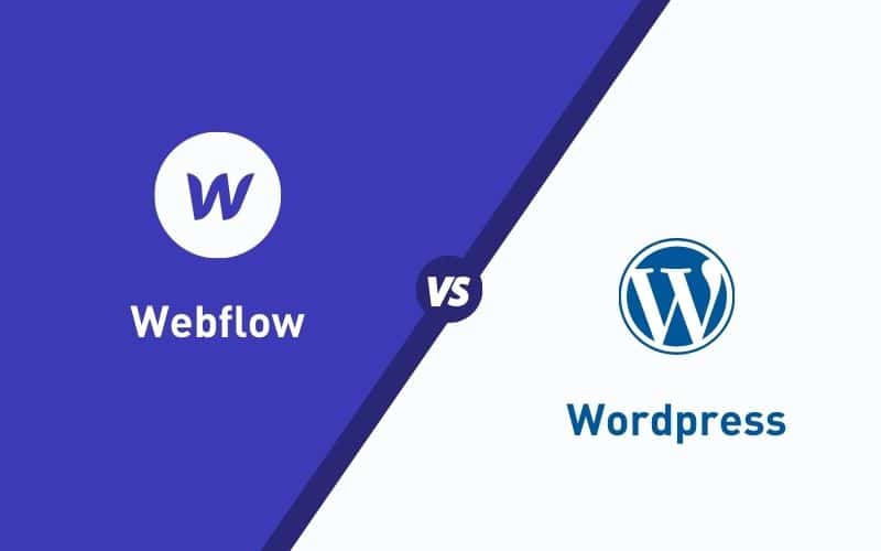 webflow vs wordpress