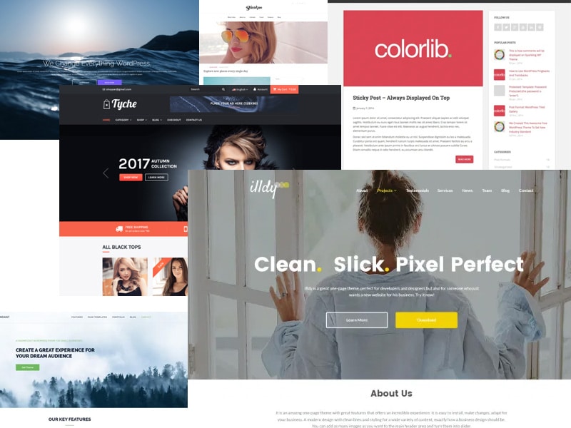 Finding the Best Free Feminine WordPress Theme for Your Site