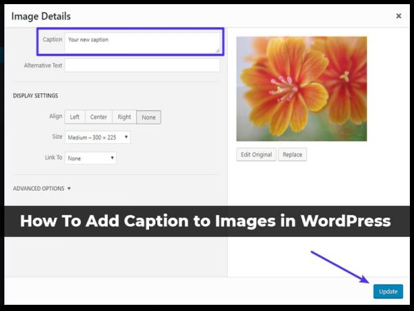 how-to-add-caption-to-images-in-wordpress-step-by-step-grace-themes