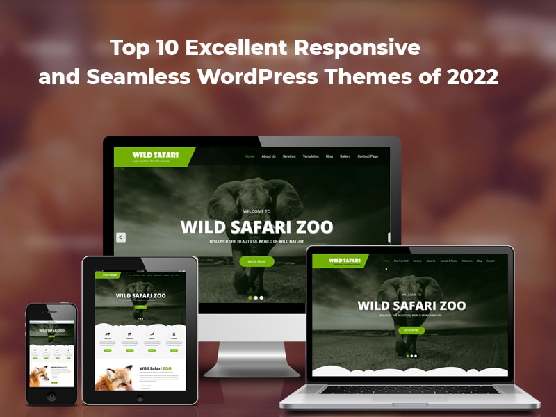 Top-10-Excellent-Responsive-and-Seamless-WordPress-Themes-of-2022