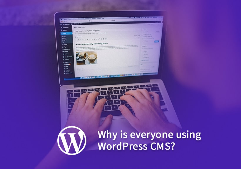 Why-is-everyone-using-WordPress-CMS
