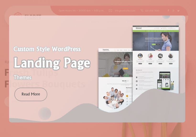 Custom-Style-WordPress-Landing-Page-Themes