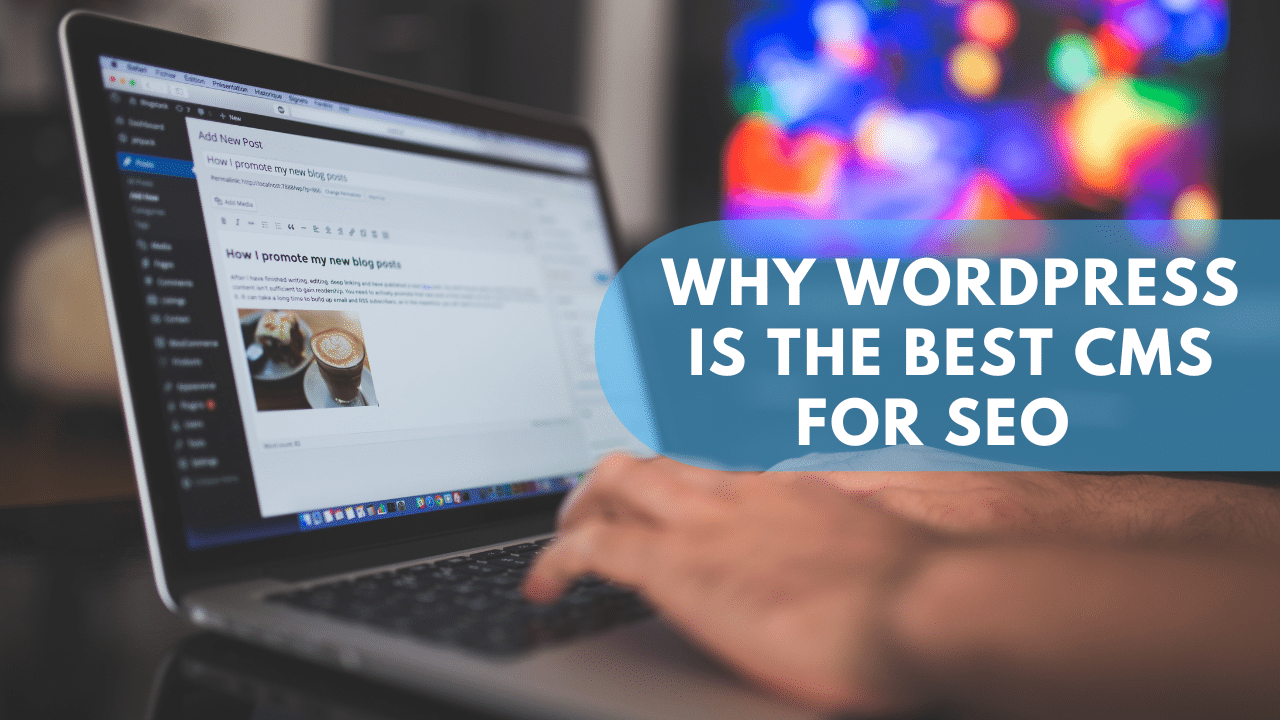 10 Reasons Why WordPress Is the Best CMS for SEO  