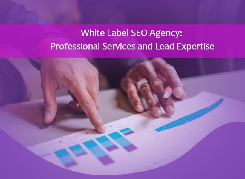 White-Label-SEO-Agency-Professional-Services-and-Lead-Expertise