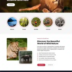 Free Safari WordPress Theme