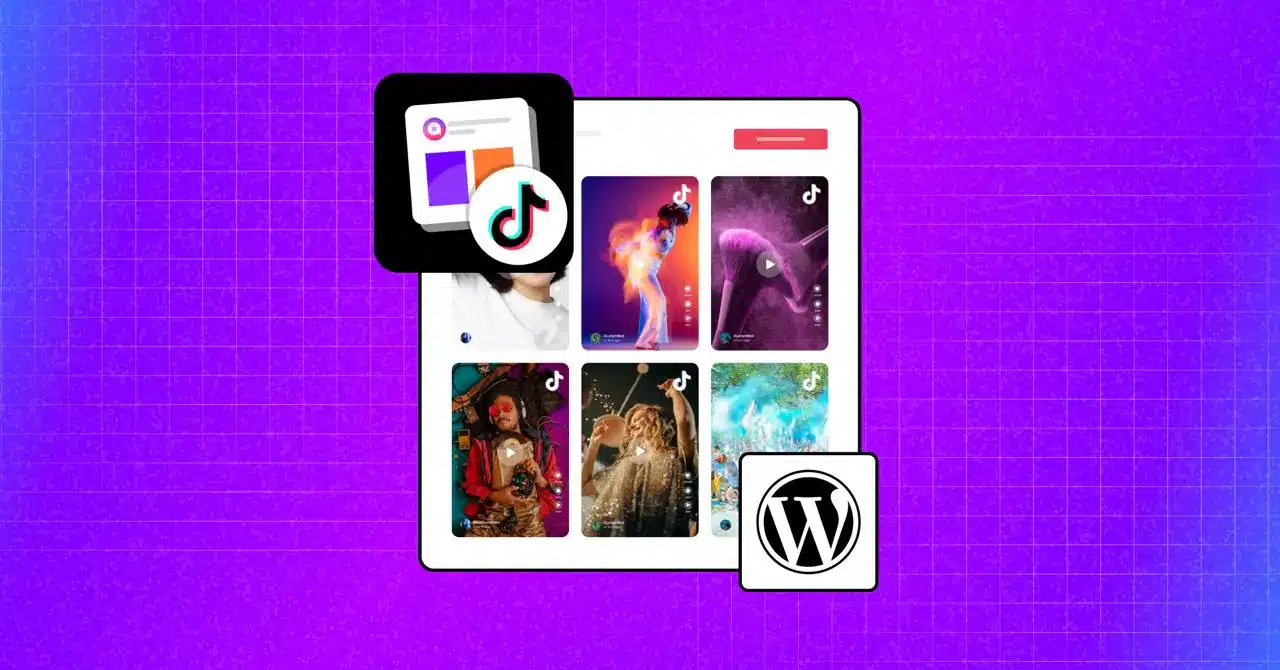 TikTok Growth with WordPress Plugins