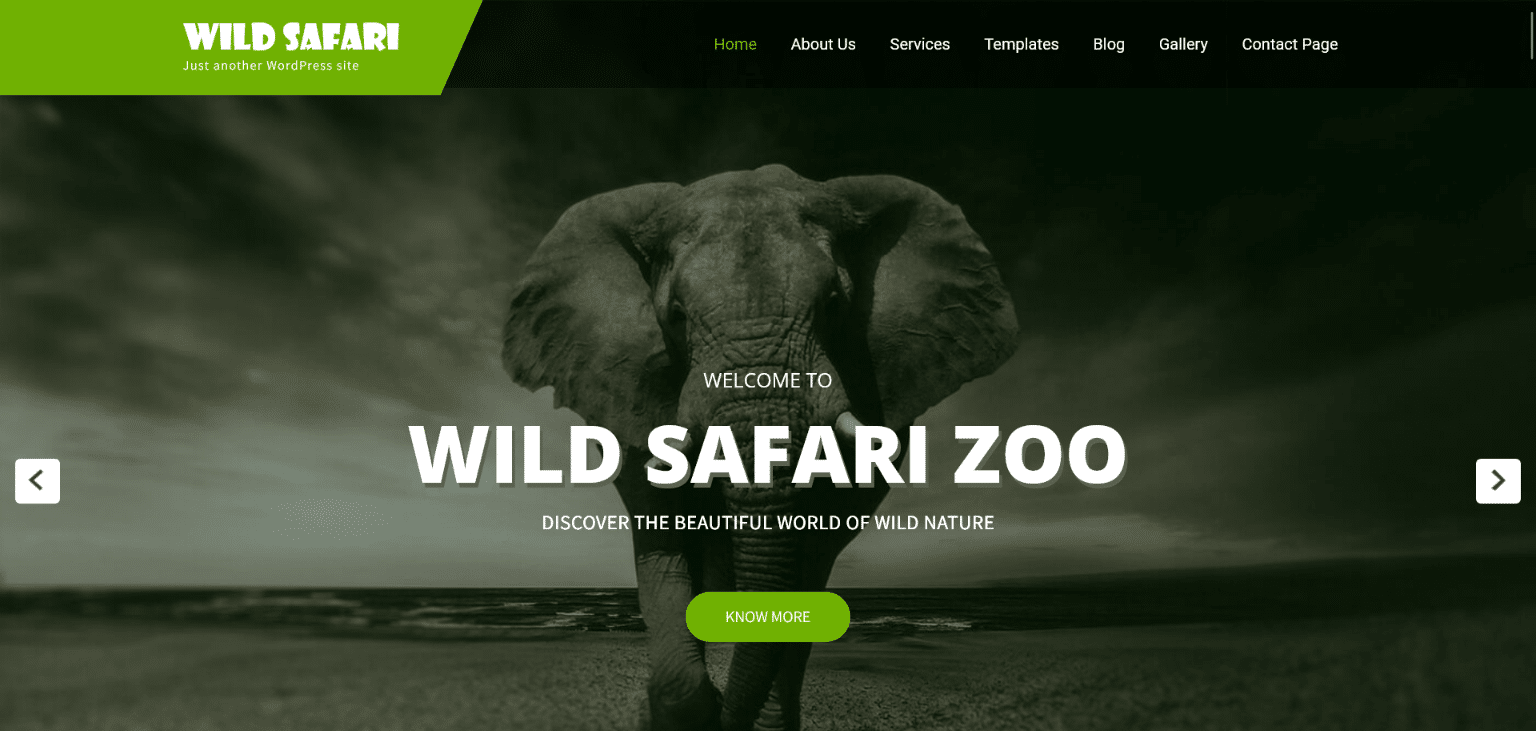 Wild Safari