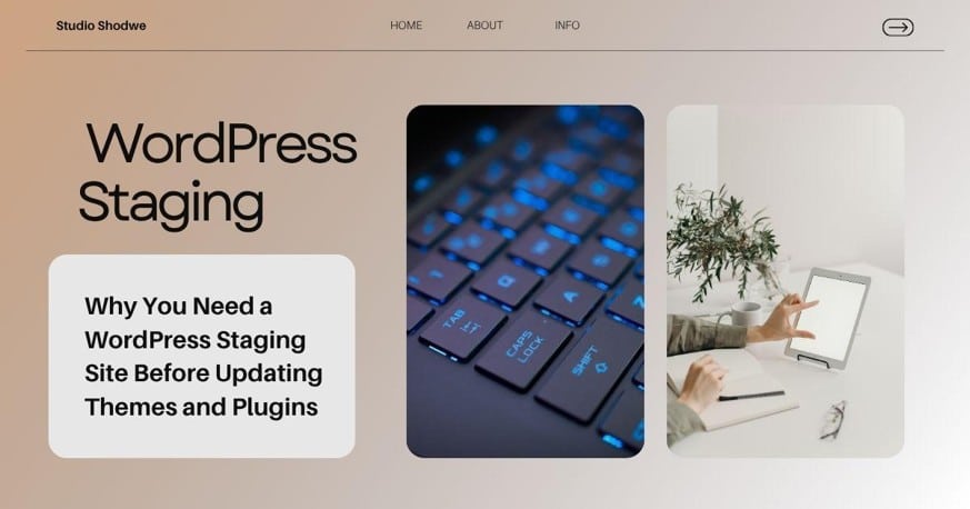WordPress Staging Site