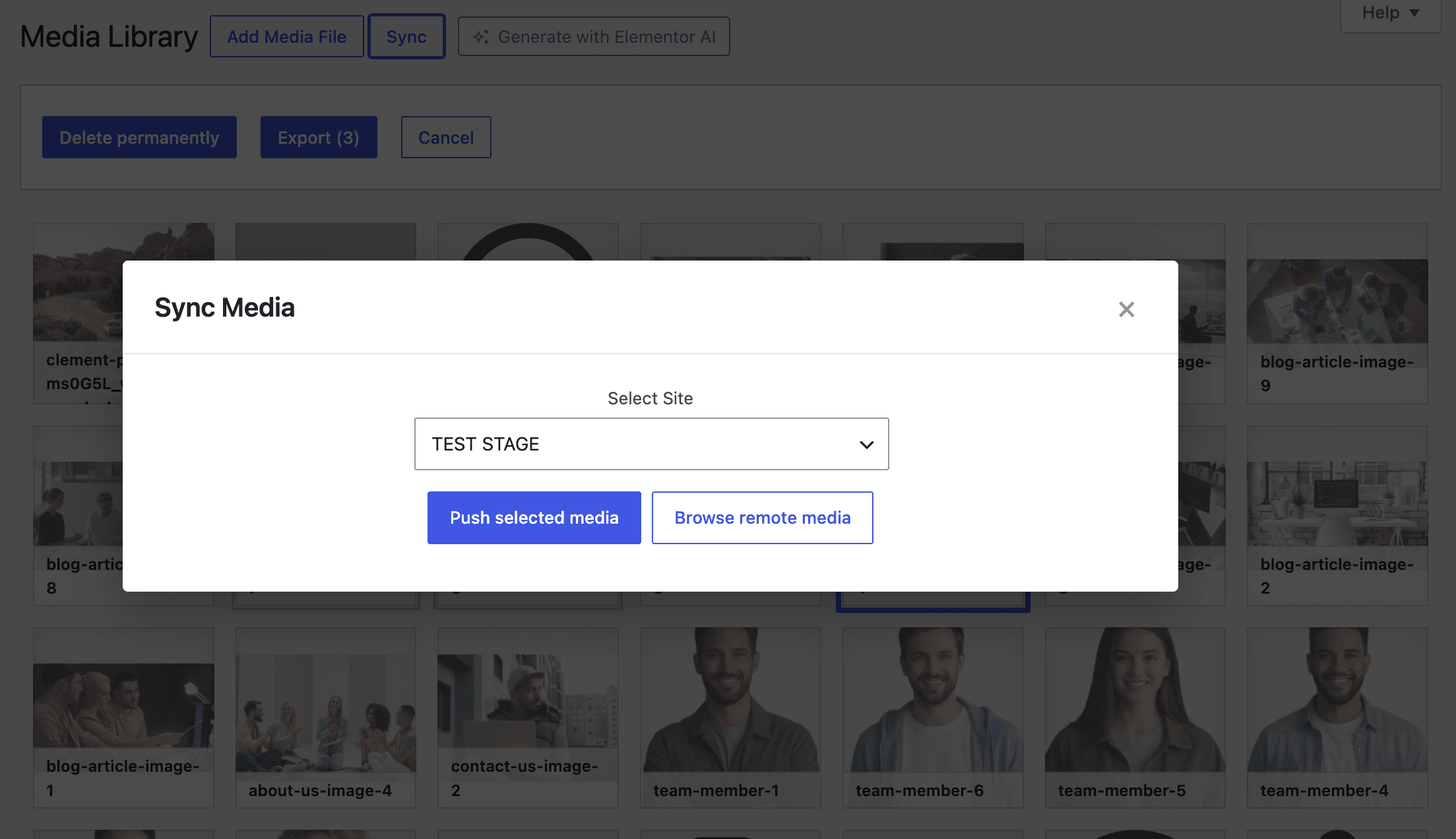 Sync the full gallery or only selected files