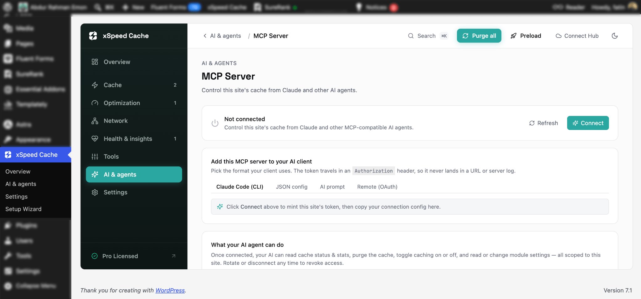 The MCP Server